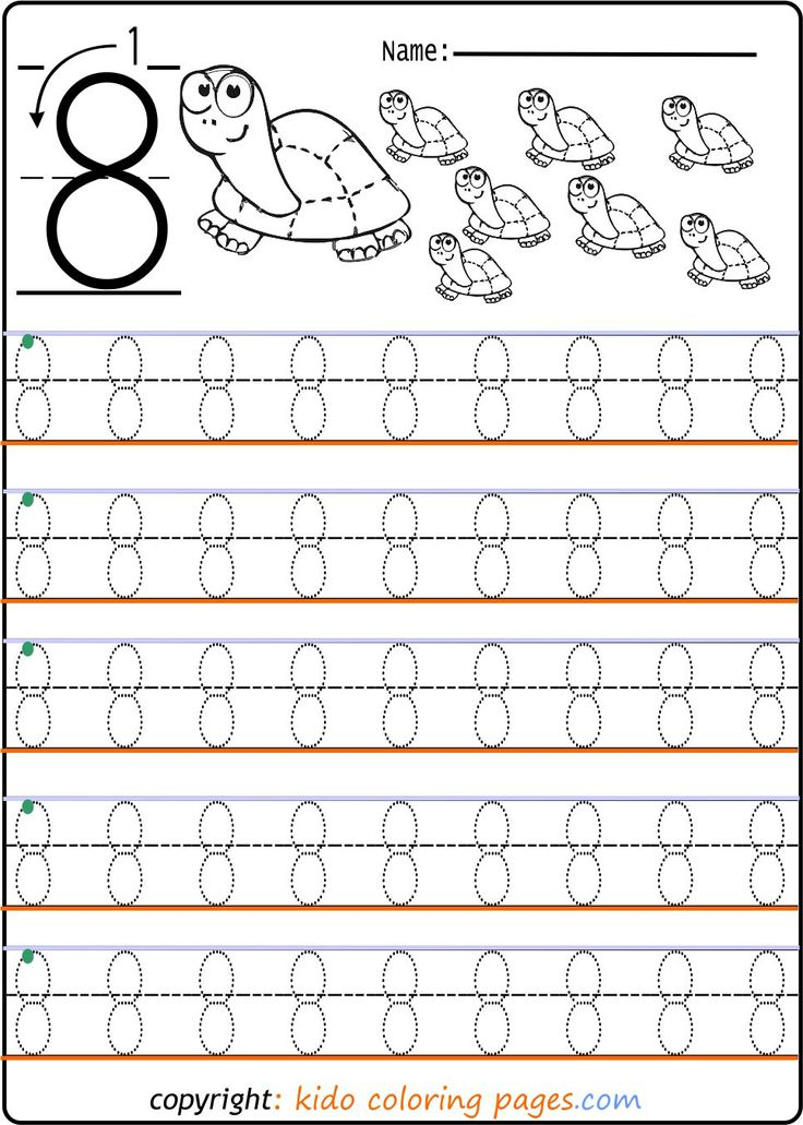 30 Tracing And Writing Number 8 Worksheet