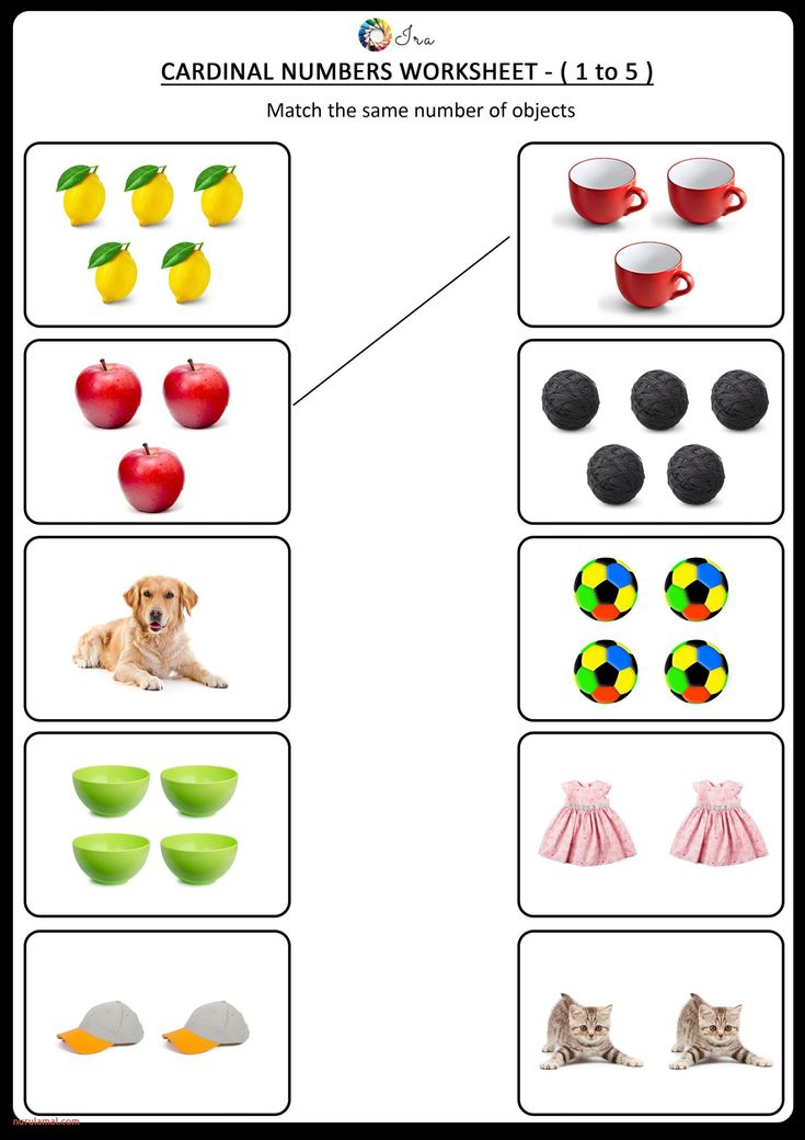 21 Count And Match Worksheets Kindergarten Easy